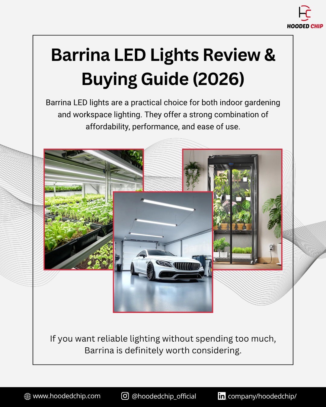 Bright, efficient, and budget-friendly 
Our Barrina LED Lights Review & Buying Guide (2026) breaks down performance, features, and how to choose the right setup for your space.
.
.
.
for more visit us at:
www.hoodedchip.com

#Barrina #HoodedChip #LEDLighting #smartlighting #homeimprovements #garagesetup #growlights #energyefficient