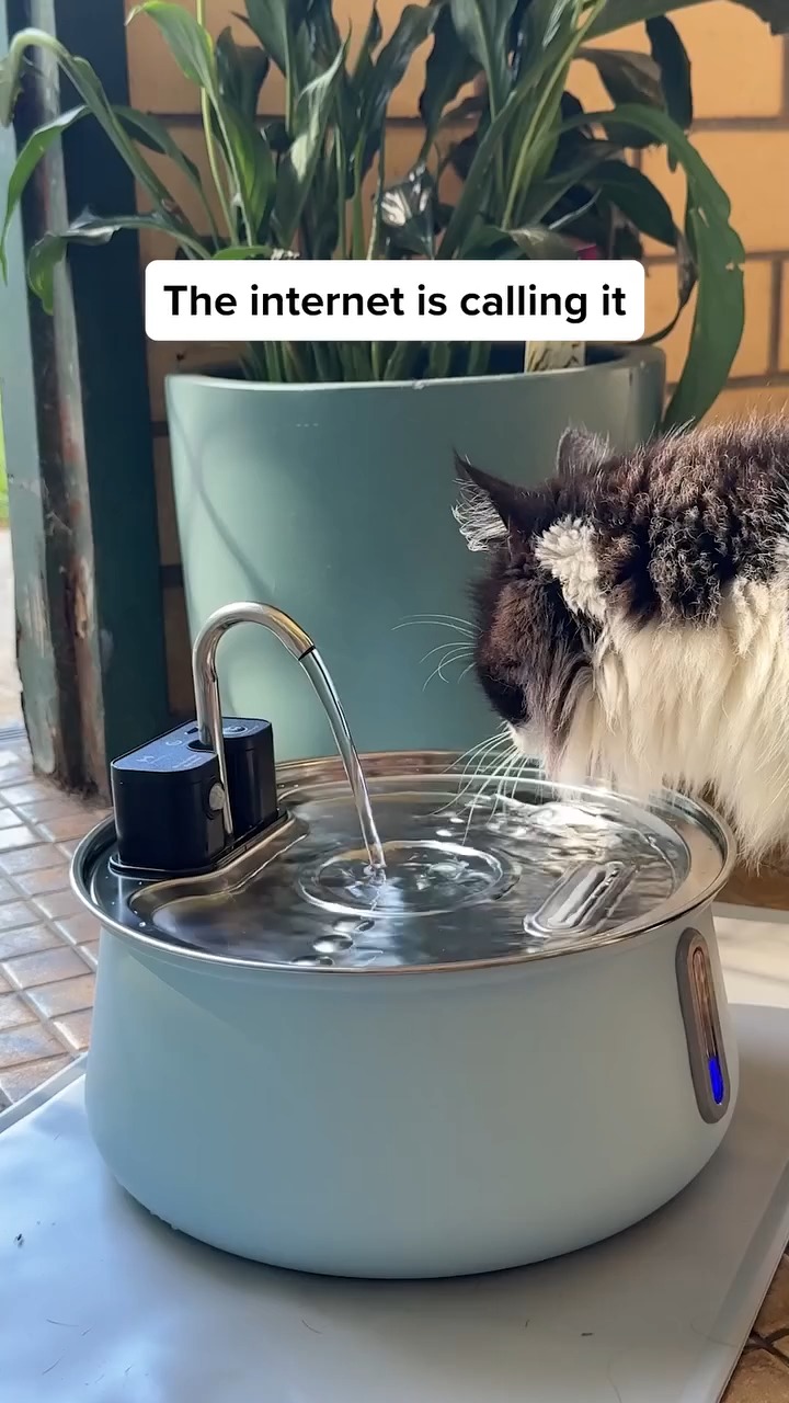 Happy cat, happy life. 🐱💦 Keep your furry friend refreshed with KittySpout.

S...